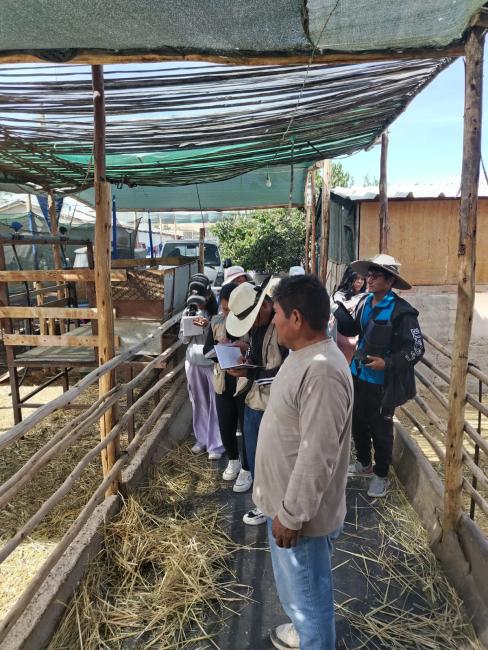 Estudiantes con caprinos